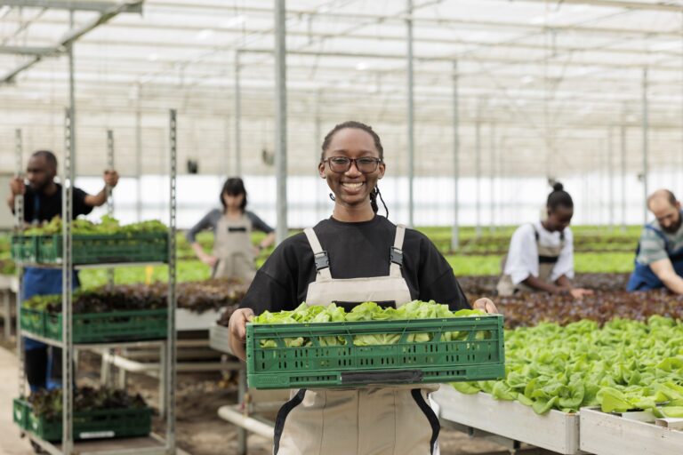 Why Sustainable Food Solutions Matters
